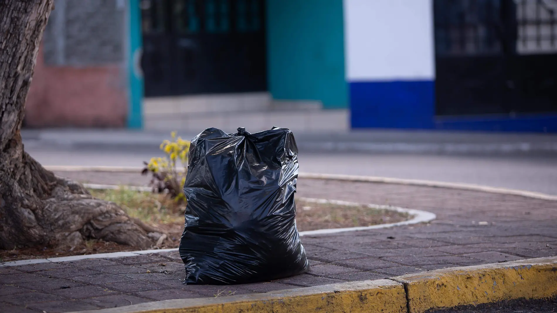 Basura contaminación suelo-IAV-1